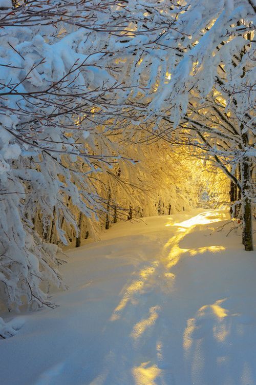 Winter is so beautiful… at least in pictures
